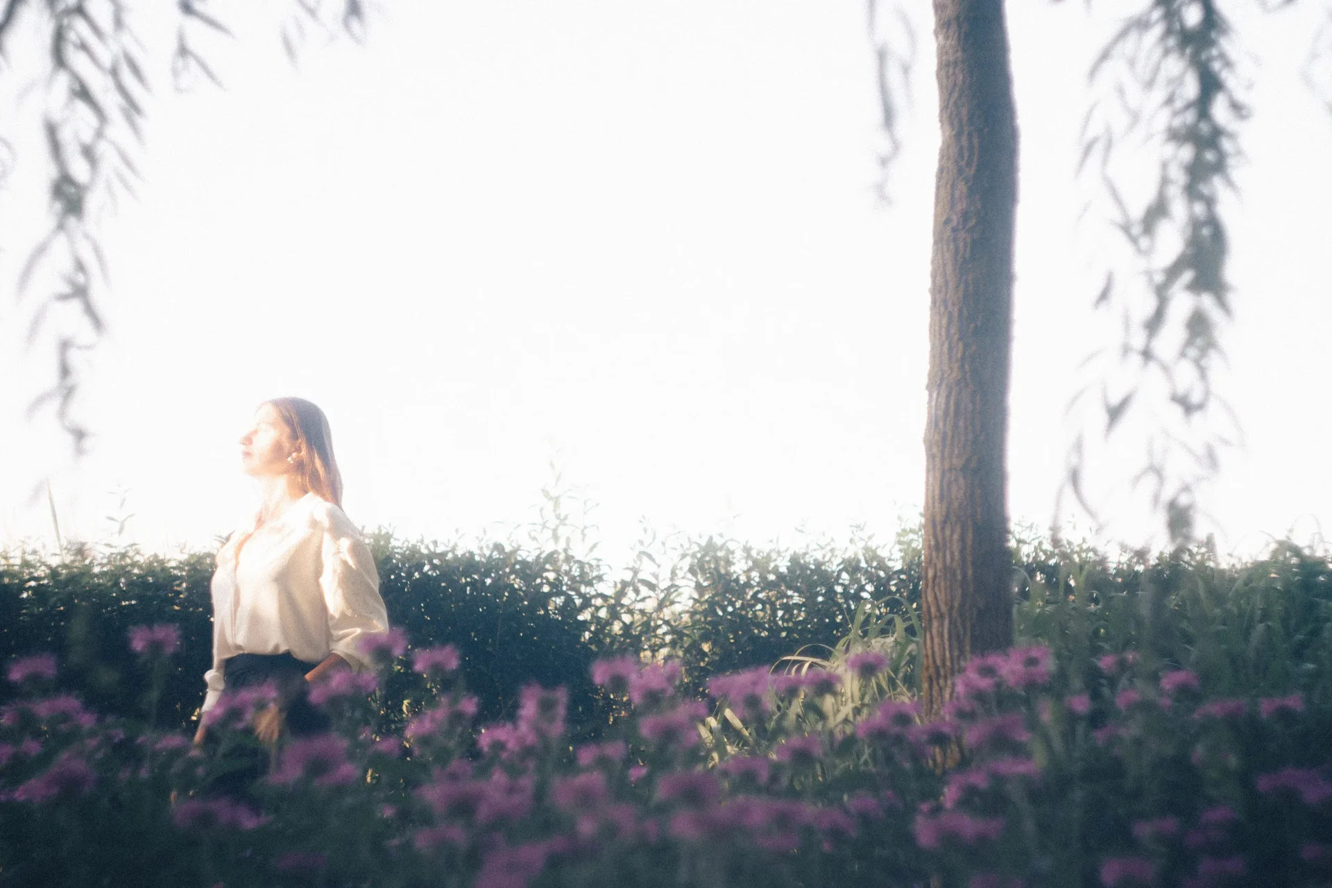 DSC07417.webp